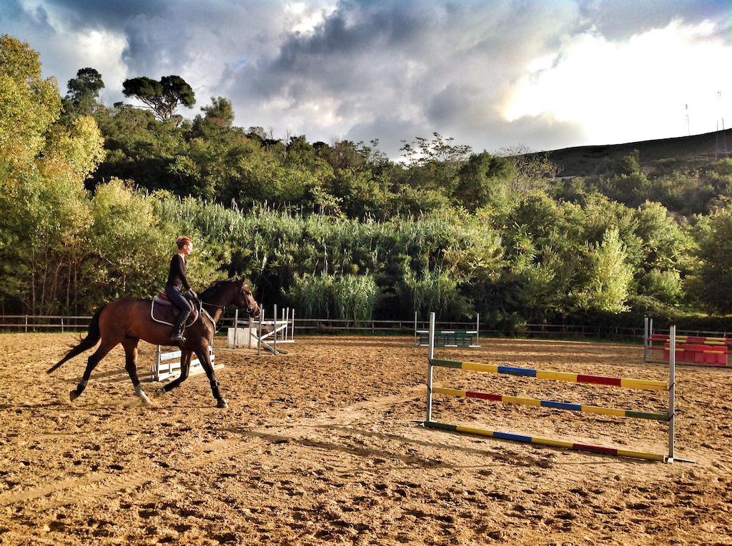 Agriturismo Ridocco Corleone Exteriér fotografie