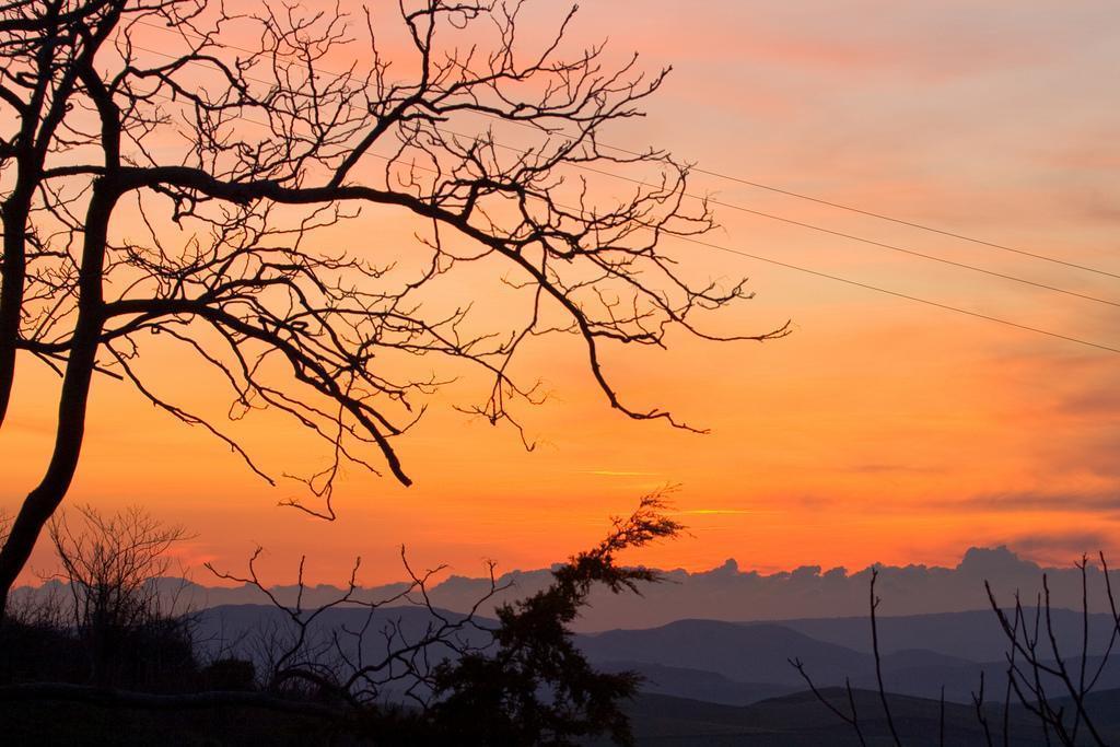 Agriturismo Ridocco Corleone Exteriér fotografie
