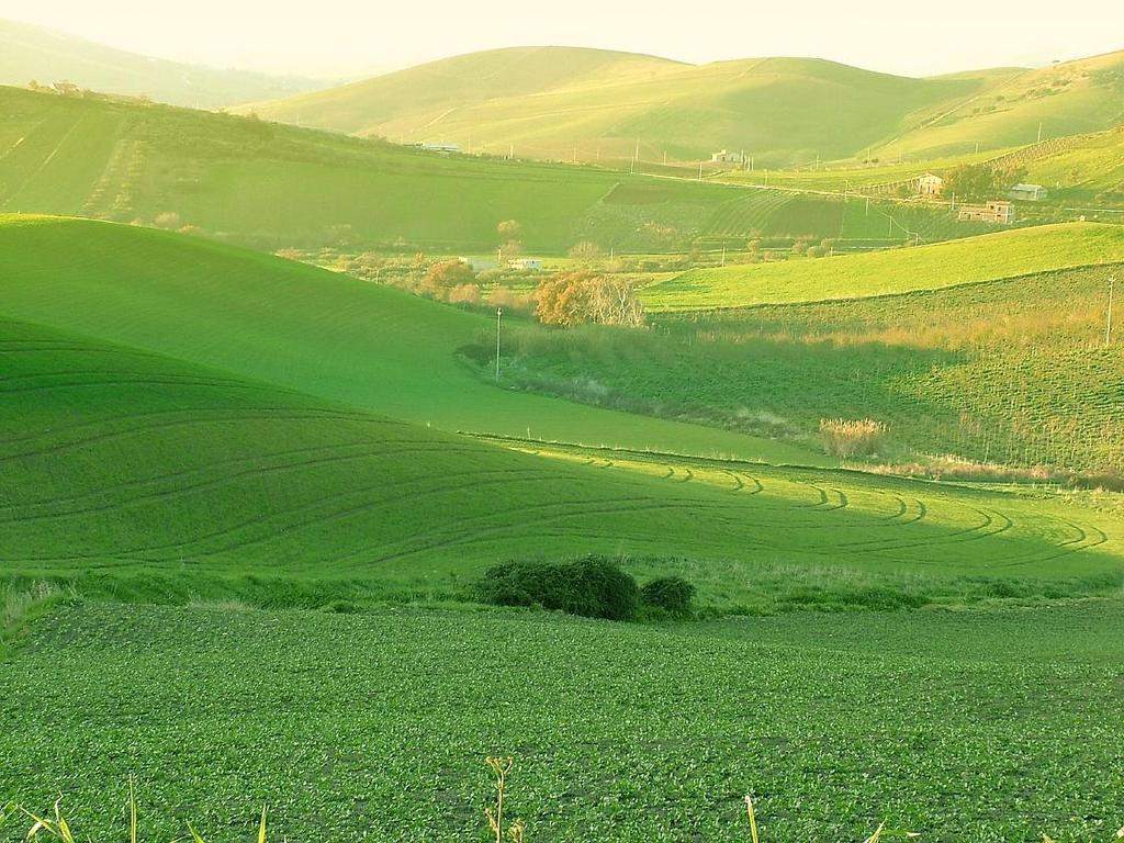 Agriturismo Ridocco Corleone Exteriér fotografie